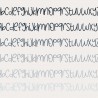 ZP Zongsmith - FN -  - Sample 6