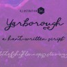 ZP Yarborough Expanded - FN -  - Sample 2