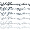 ZP Yarborough Expanded - FN -  - Sample 6
