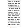 ZP Smoodle Bold - FN -  - Sample 1