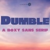 ZP Dumble - FN -  - Sample 2