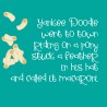 ZP Macaroni Salad - FN -  - Sample 4