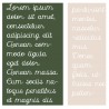 PN Expectations Expanded - FN -  - Sample 5