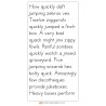 ZP Primer Print - FN -  - Sample 1