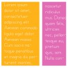 ZP Primer Print - FN -  - Sample 5