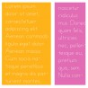 ZP Primer Print - Light - FN -  - Sample 5