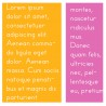 ZP Primer Print - Bold - FN -  - Sample 5
