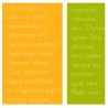ZP Primer Print - Outlined - FN -  - Sample 5