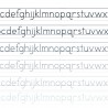 ZP Primer Print - Lined - FN -  - Sample 6
