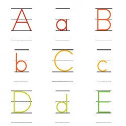 Primer Print - Lined - AL