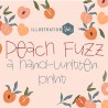 PN Peach Fuzz Light - FN -  - Sample 2