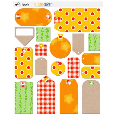 SNT Chicken Soup - PR