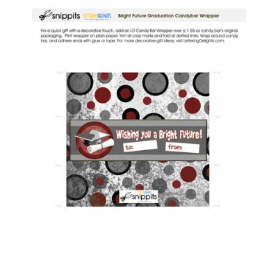 Bright Future Graduation Maroon Silver - Candy Bar Wrapper - PR