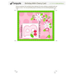 SN Birthday With Cherry Card - PR