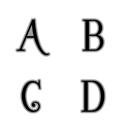 Classy Charm Alpha - SV