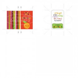 Orange You Glad Christmas Tic Tac Cover - PR