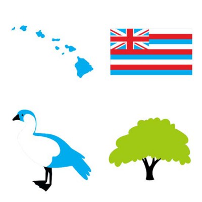Hawaii Aloha State - SV