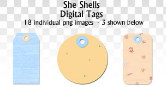 DT She Shells