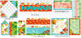 JDT Hawaii