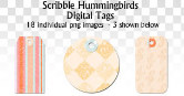 Scribble Hummingbirds Digital Tags