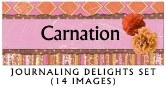 JD Carnation