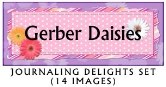 JD Gerber Daisies