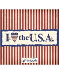 I Love the USA Candy Bar Wrapper