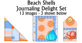 JJD Beach Shells