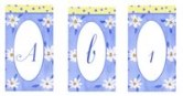 Field O Daisies