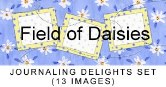 MJD Field O Daisies