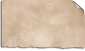 Vellum Aged Sticker Paper
