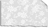 Vellum Lace Daisy Sticker Paper
