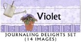 JD Violet