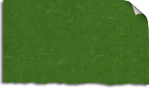 Mulberry Grass Green Sticker Paper