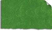Mulberry Green Sticker Paper