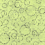 Haunted Houses Paper Pack