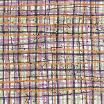 Mummy Spiders Paper Pack