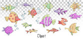 JDT Fishies