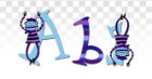 Funky Monkey Alphabet
