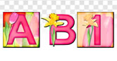 Spring Box Flowers