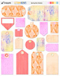 Spring Box Daisies Tags