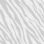 Jungle Adventure Paper Pack